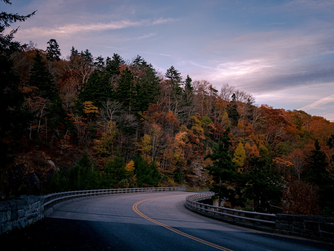 Salvo NC Passport Guide: Dare County Facilities & Steps