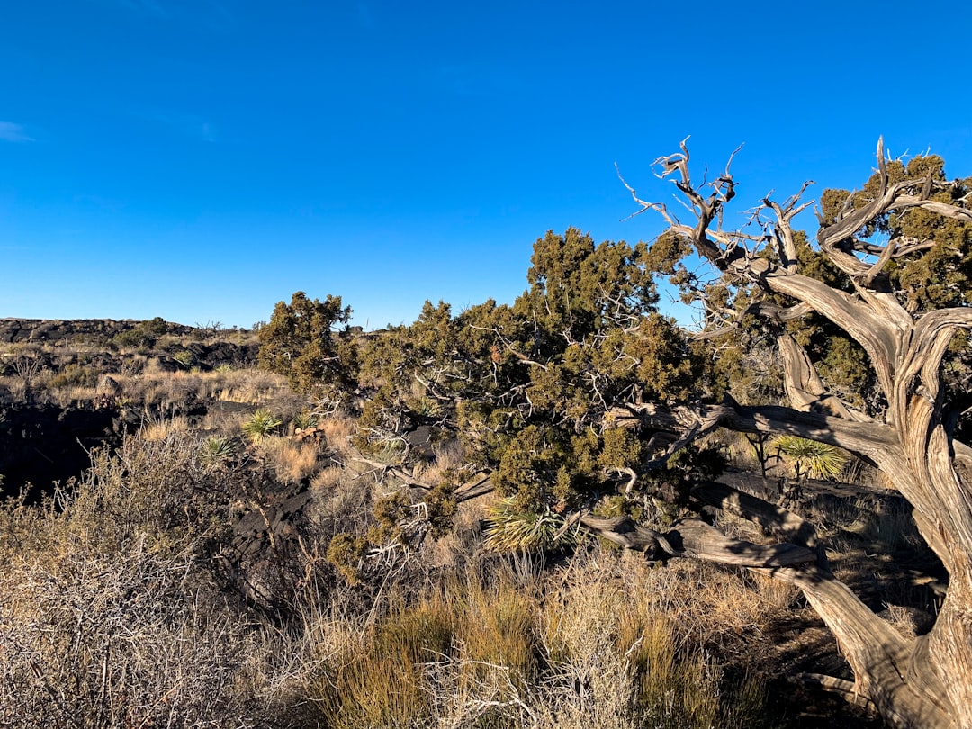 San Pablo NM Passport Guide: Apply, Renew, Las Cruces Facilities