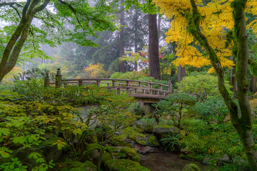 Seaside OR Passport: Facilities, Steps & Checklists Guide