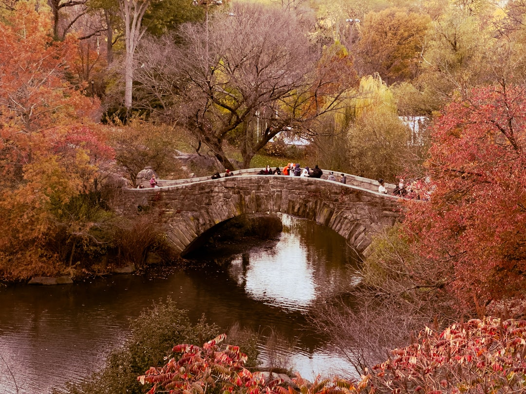 Shoreham NY Passport Guide: Forms, Facilities, Fees & Tips