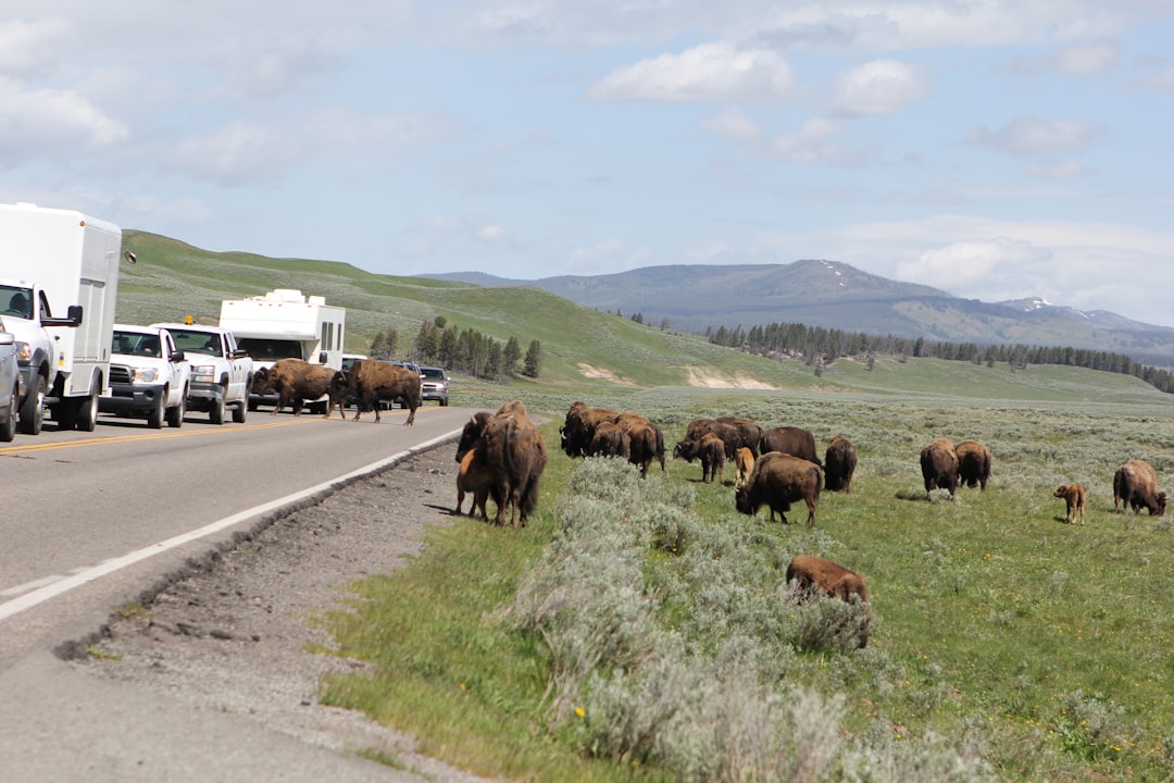 Sinclair WY Passport Guide: Apply Renew Replace Steps