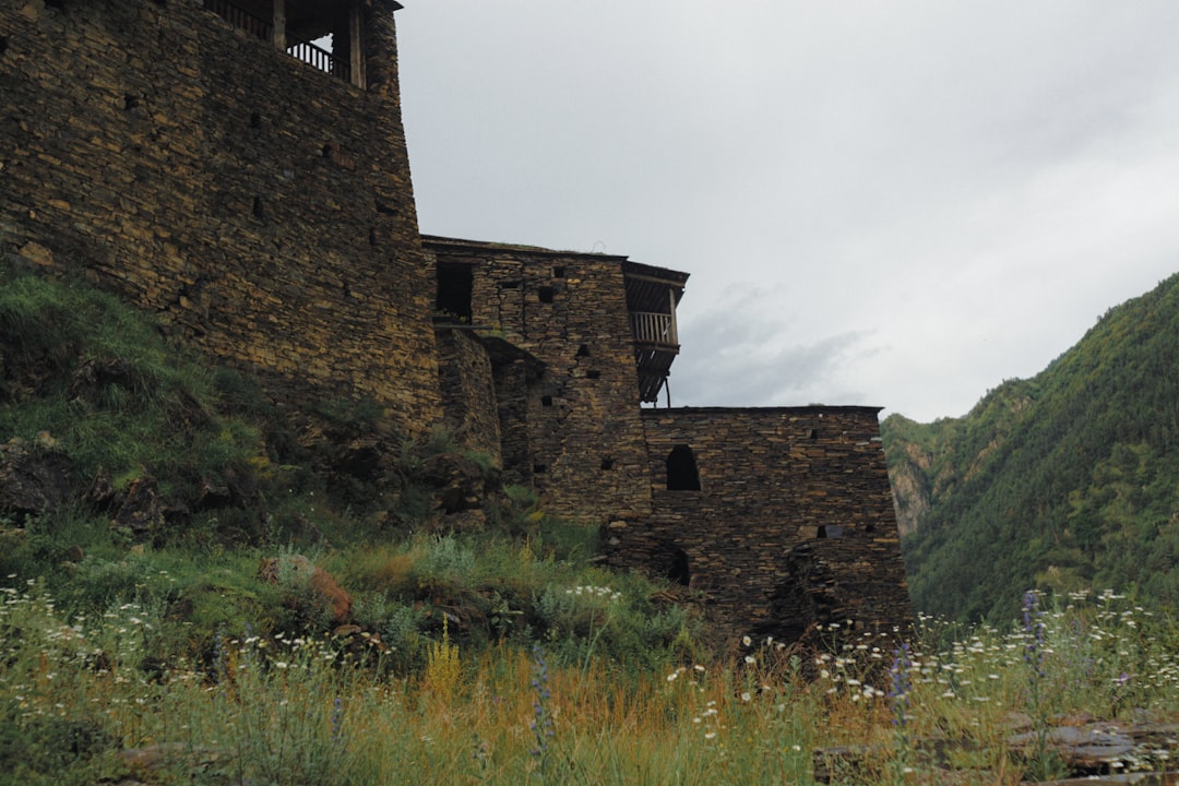 South Fulton, GA Passport Guide: Forms, Facilities, Timelines