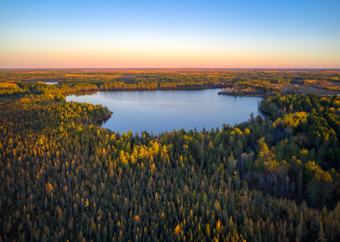Springbrook WI Passport Guide: Steps, Renewals, Local Facilities