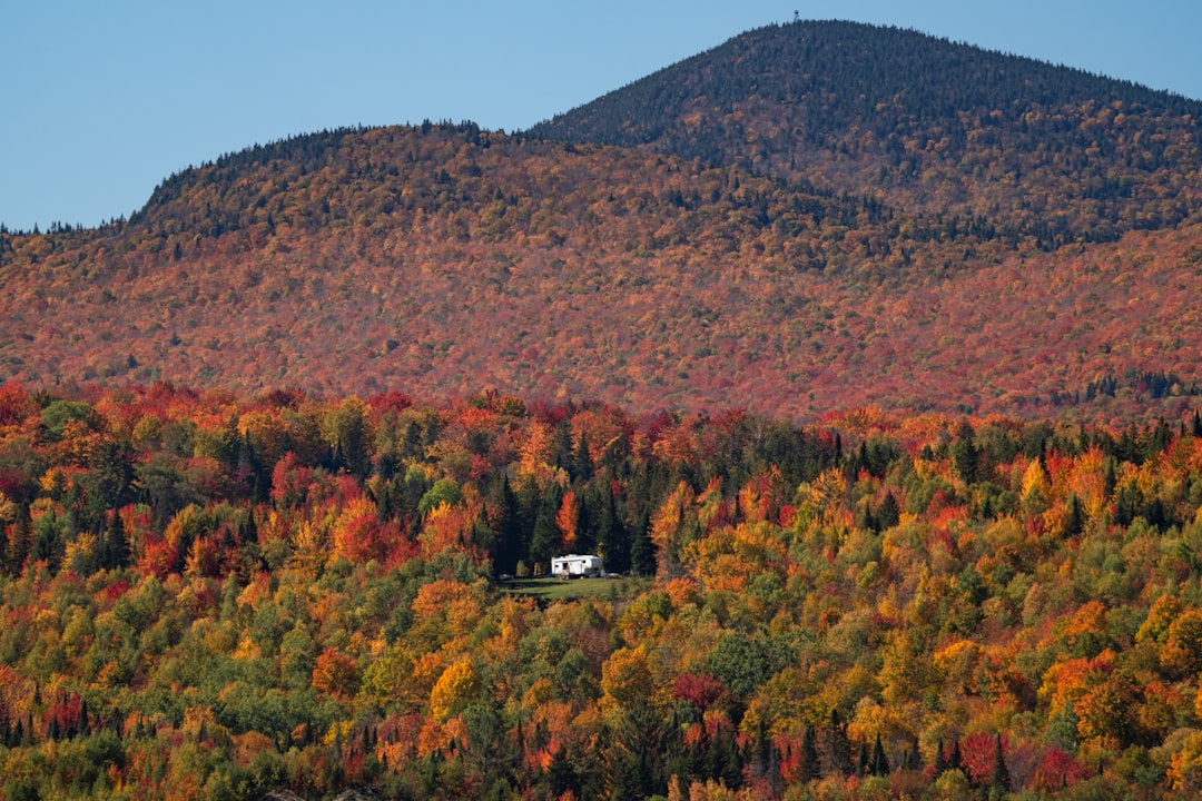 Stamford VT Passport Guide: First-Time, Renewal, Facilities