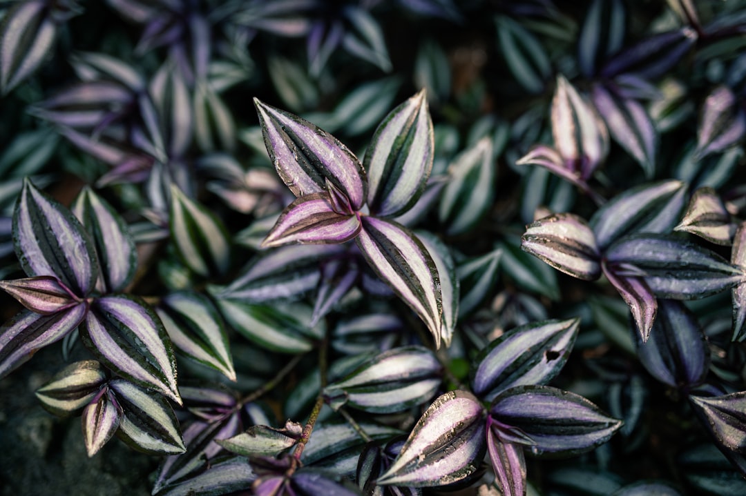 Step-by-Step Guide to Getting a Passport in Loíza, PR