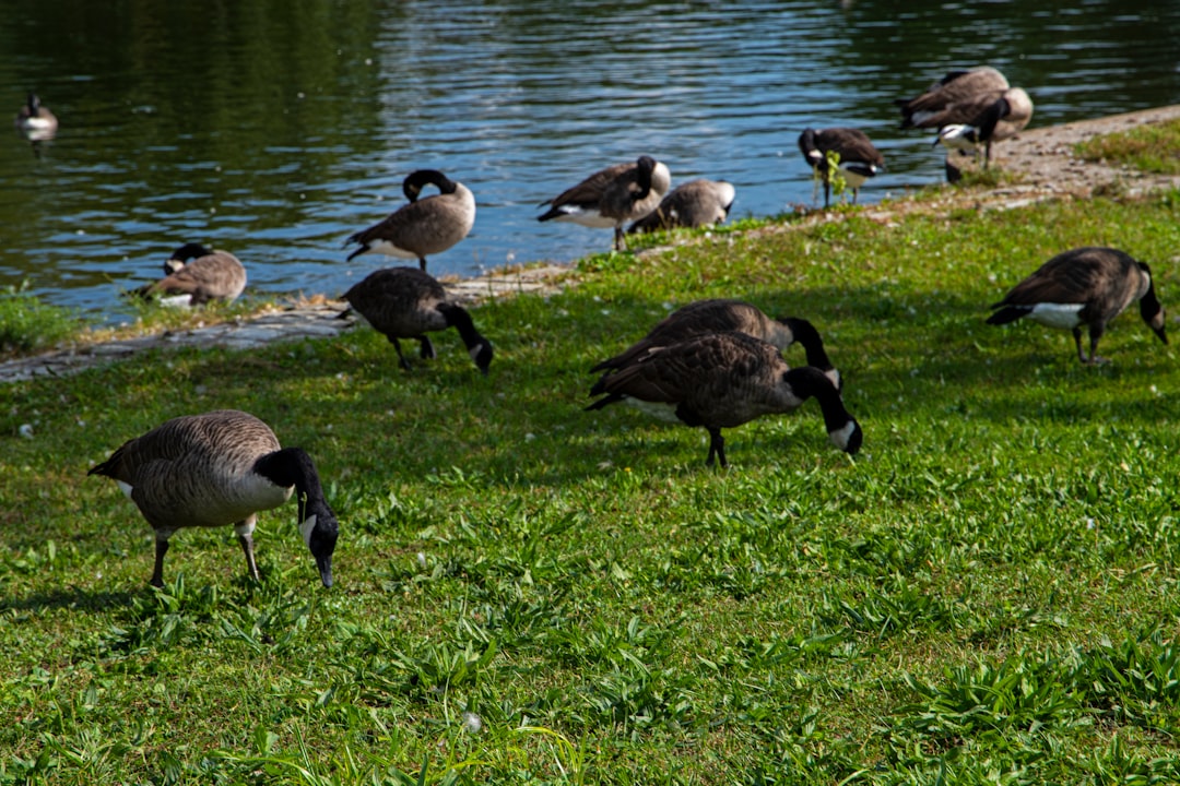 Step-by-Step Guide to Getting a Passport in New Castle, PA