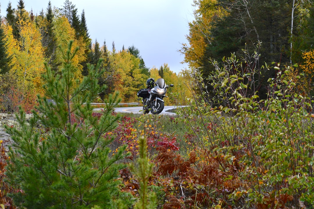 Step-by-Step Guide to Getting Your Passport in Cuyuna, MN