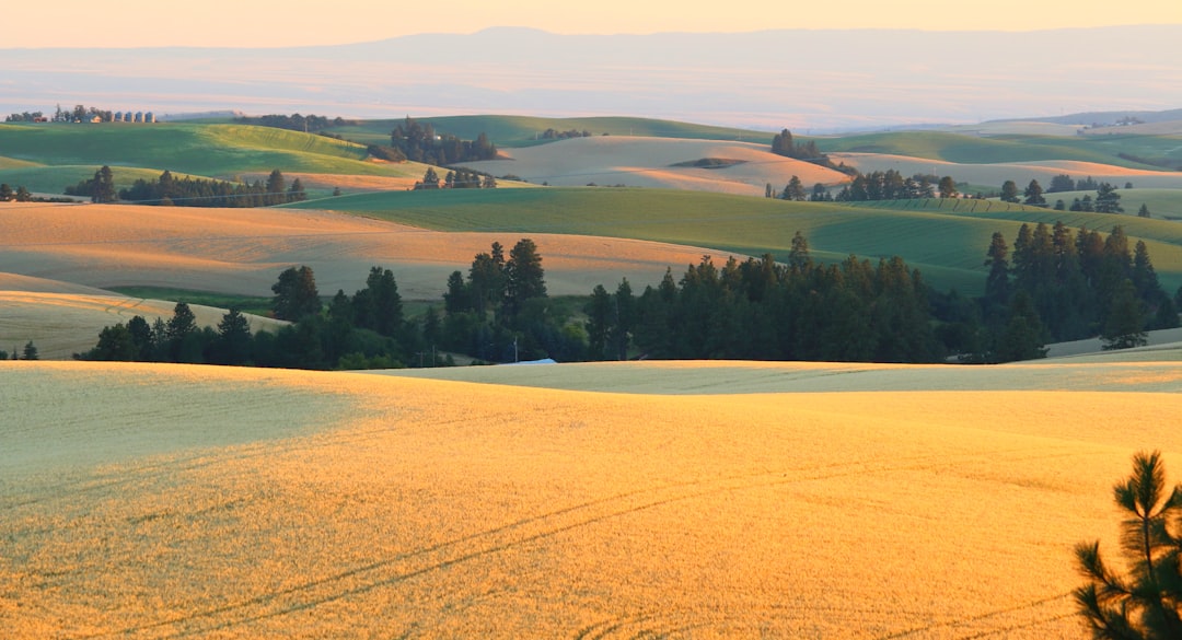 Step-by-Step Passport Guide for Craigmont, ID Residents