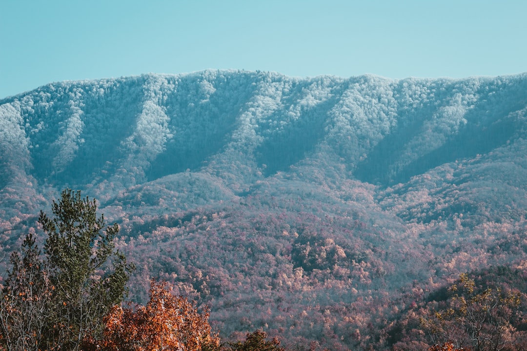 Step-by-Step Passport Guide for Crump, TN Residents