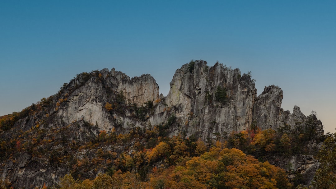 Step-by-Step Passport Guide for Fenwick, WV Residents
