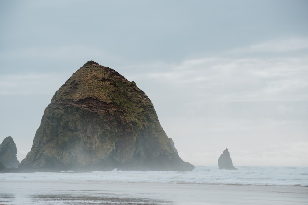 Step-by-Step Passport Guide for Green Meadows, OR Residents