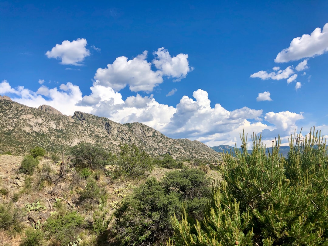 Step-by-Step Passport Guide for La Madera, NM: Forms & Facilities