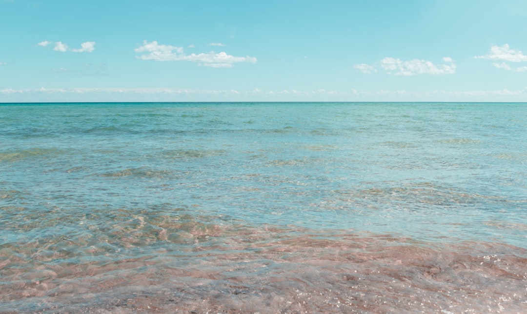 Step-by-Step Passport Guide for Pilgrim, MI: Benzie Facilities