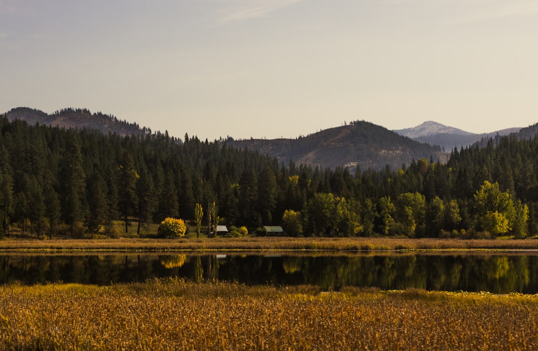 Sun Valley ID Passport Guide: Facilities, Steps & Checklists