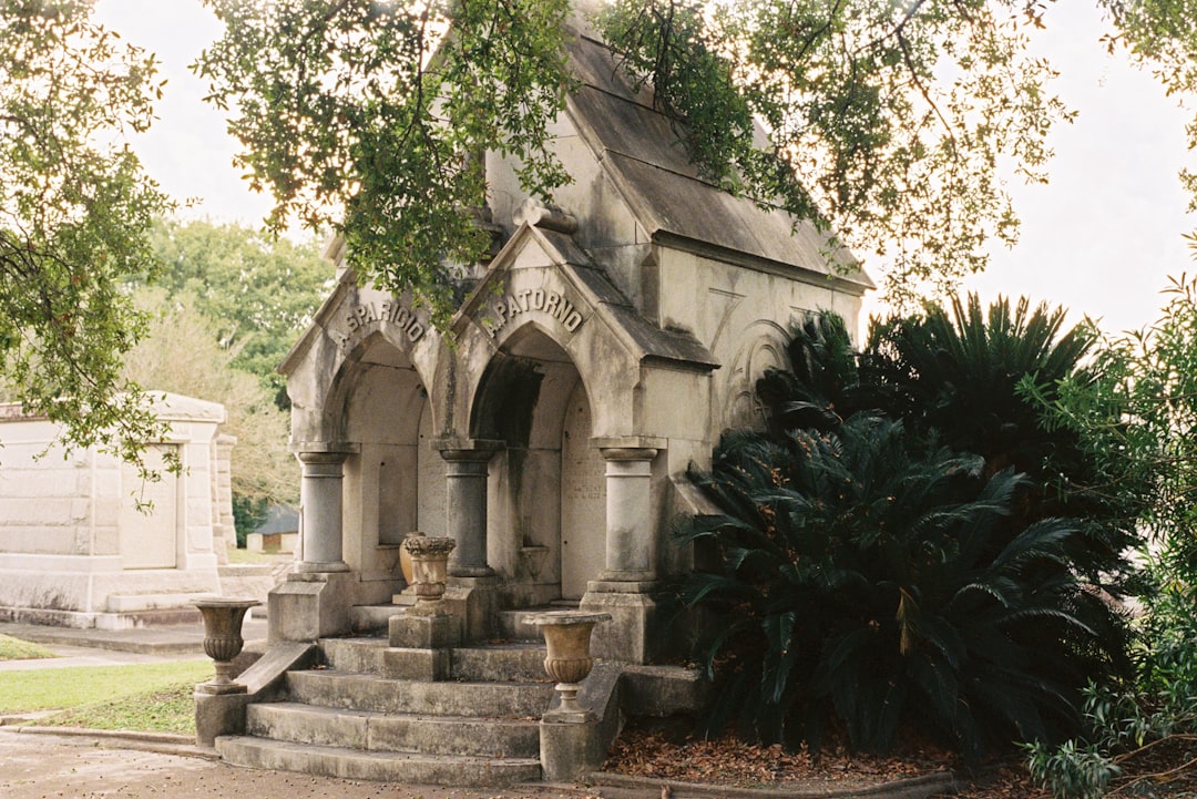 Swartz LA Passport Guide: Steps, Docs & Nearby Facilities