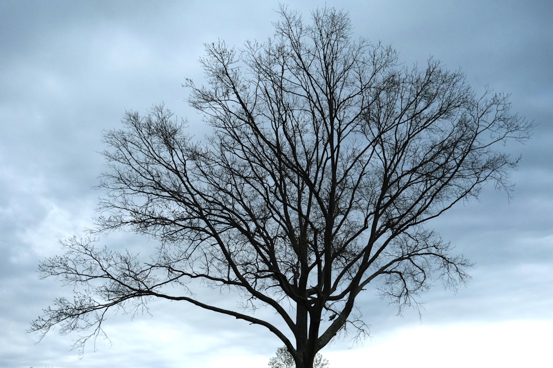 Swedesboro NJ Passport Guide: Facilities, Steps, Documents