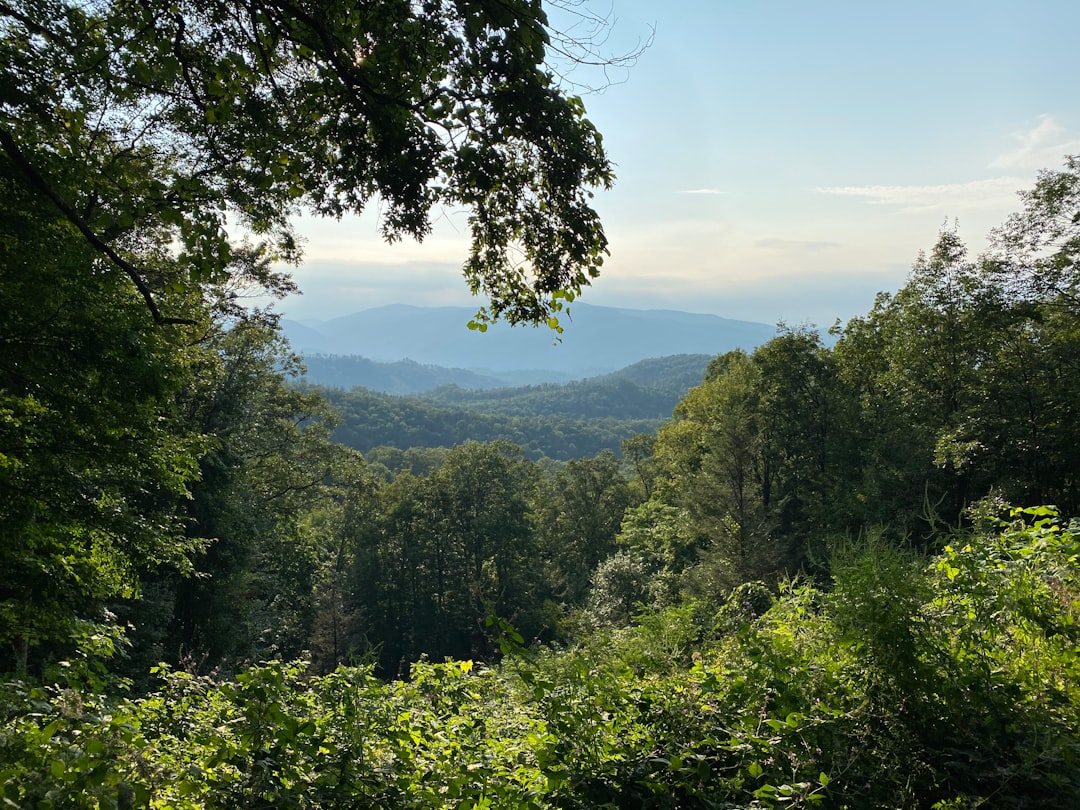 The Complete Guide to Getting Your Passport in Troy, TN