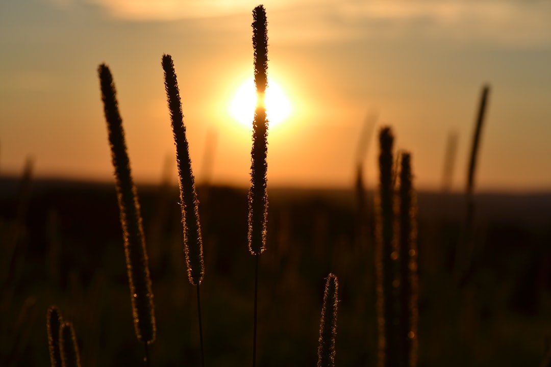 Thompsonville CT Passport Guide: Steps, Facilities, Tips