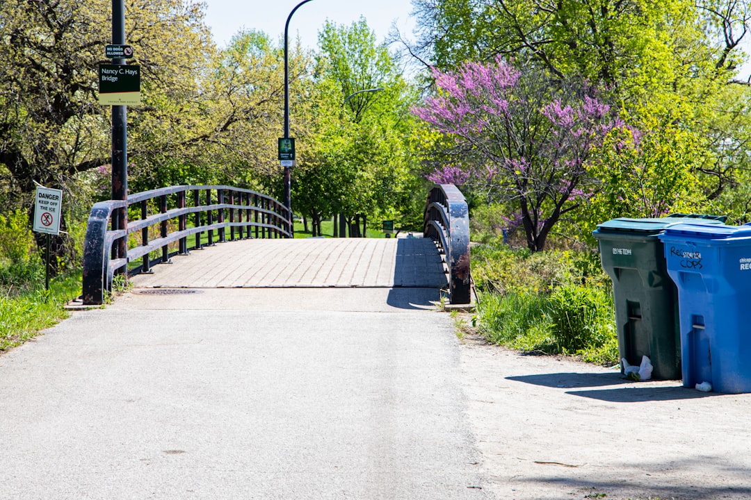 Thornton IL Passport Guide: Facilities, Steps, Renewals