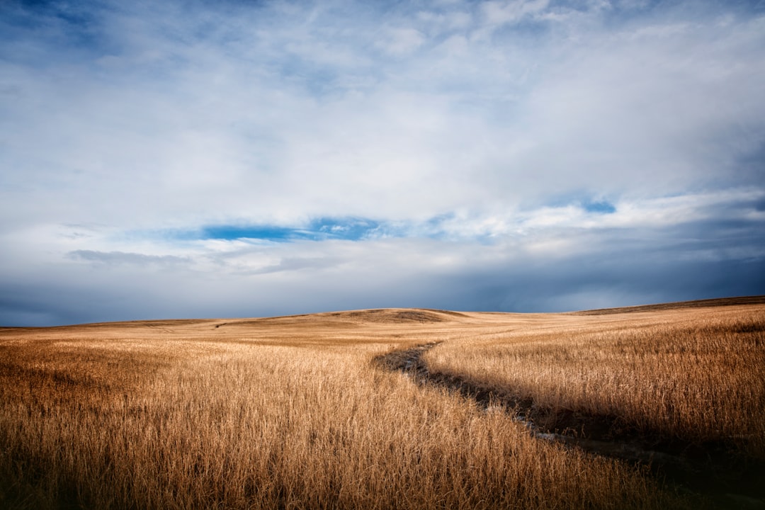 Tolley ND Passport Guide: Facilities, Forms, Steps for Renville County