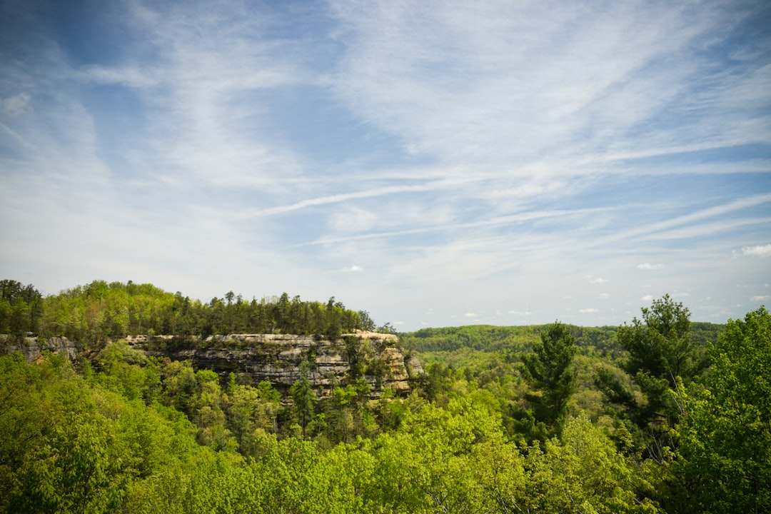 Trenton KY Passport Guide: Facilities, Forms, Local Tips