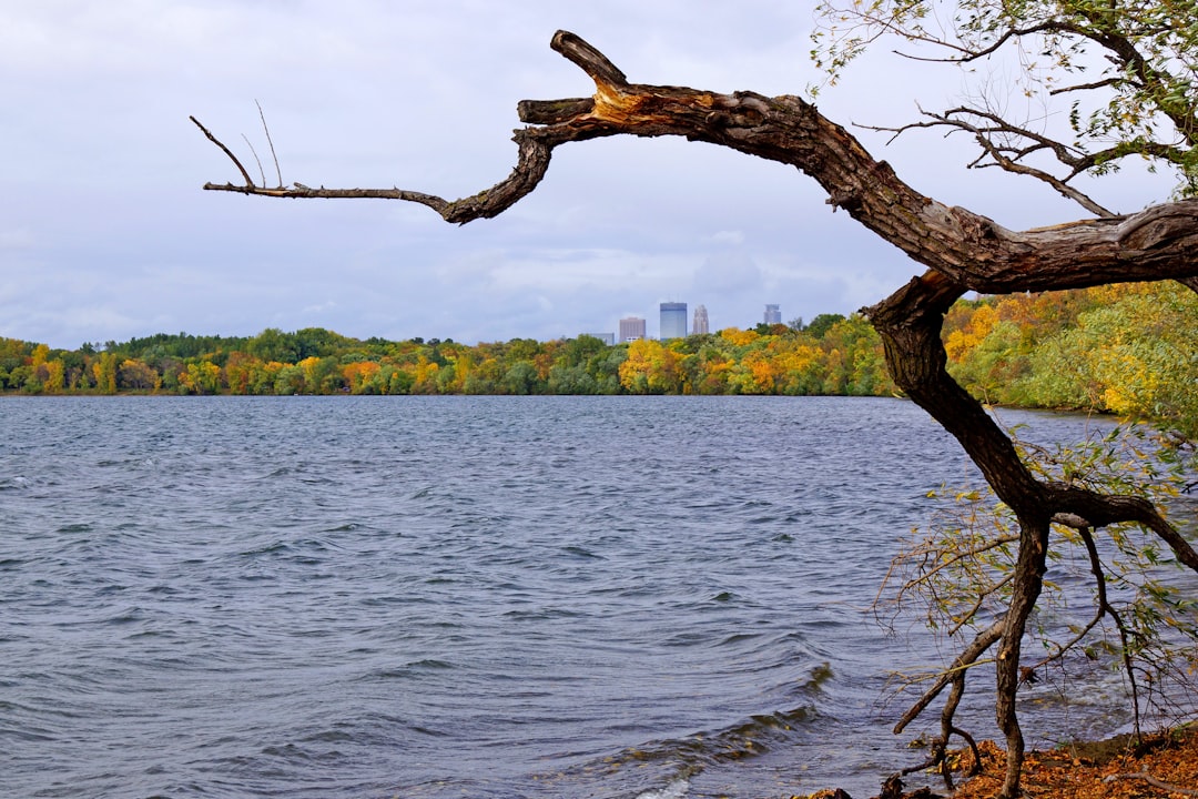 Trommald MN Passport Guide: Facilities, Steps & Requirements