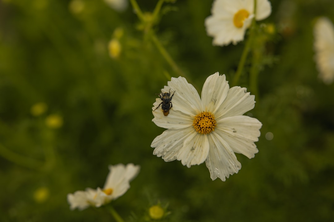 Umatilla OR Passport Guide: First-Time, Renewal, Child Steps