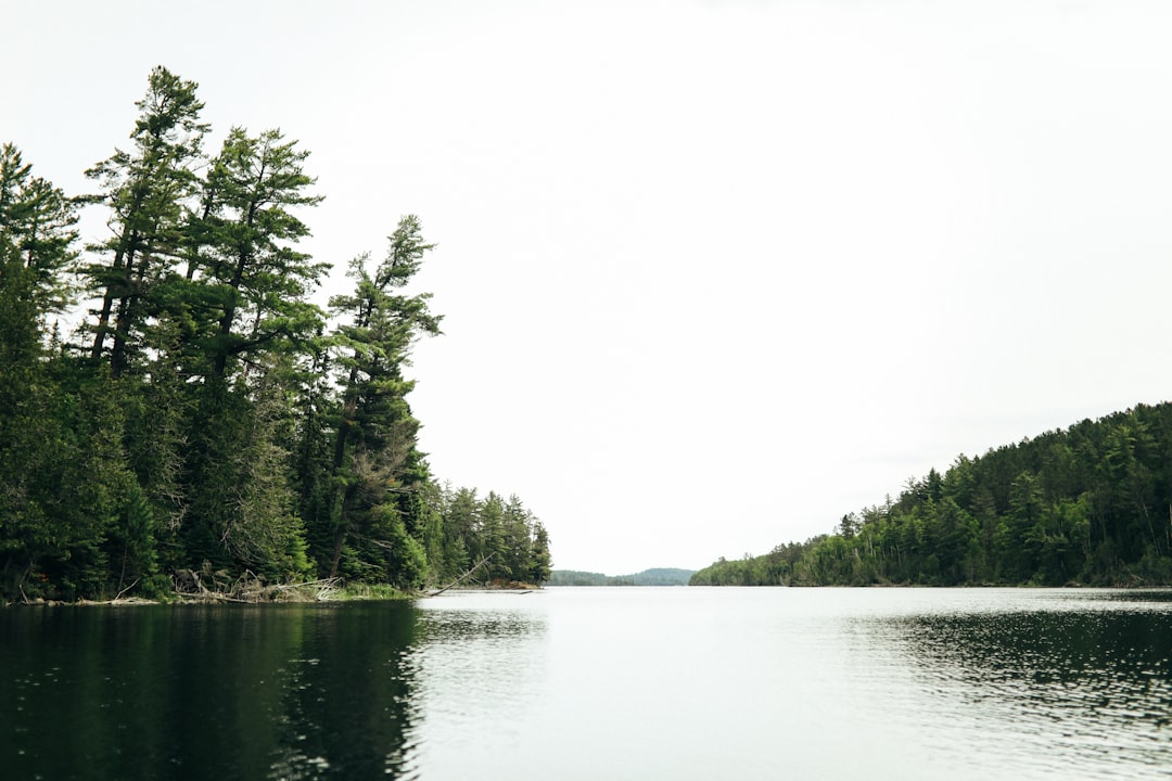 US Passport Guide for Finland MN: Facilities, Steps & Renewals