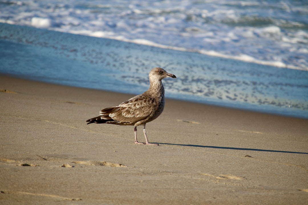 US Passport Guide for Glasgow DE: Apply Renew Facilities