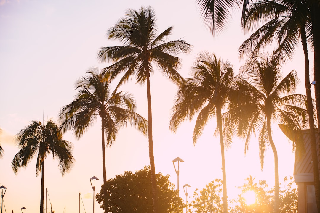 U.S. Passport Guide for Ko Olina, HI: Facilities & Steps