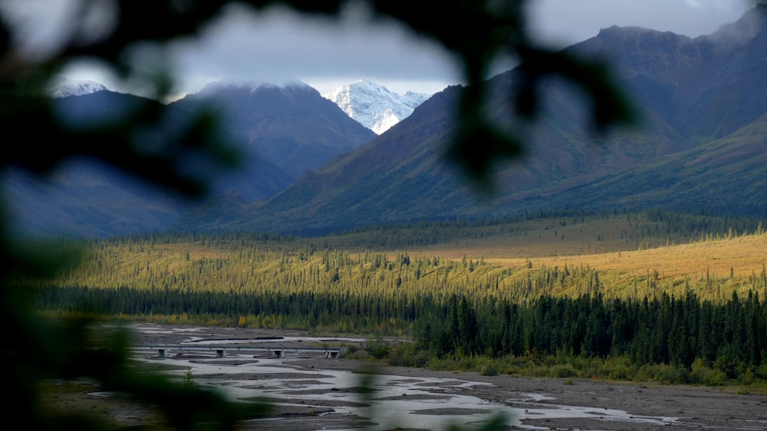 U.S. Passport Guide for Nenana, AK: Fairbanks Forms & Tips