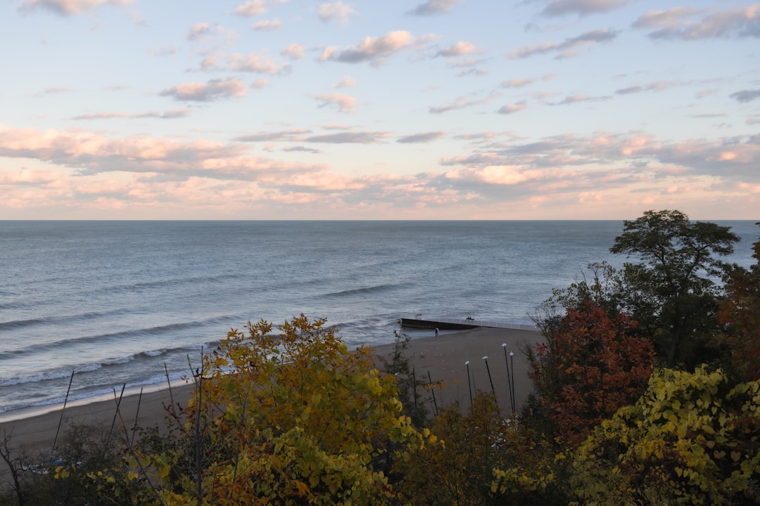 U.S. Passport Guide for Onaway, MI Residents: Steps & Facilities