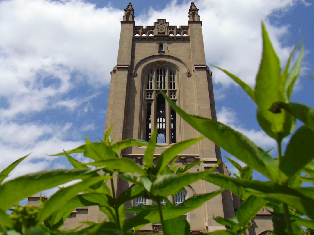 U.S. Passport Guide: Princeton, MN Applications, Renewals, Facilities