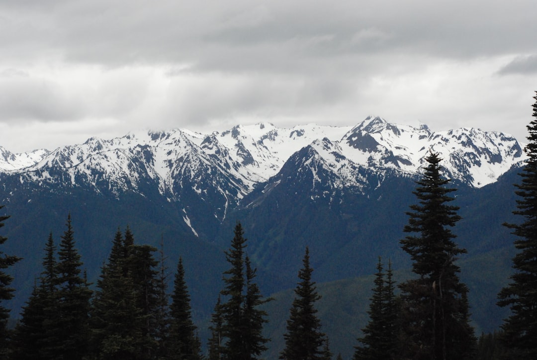 Verlot WA Passport Guide: Steps, Facilities & Pitfalls