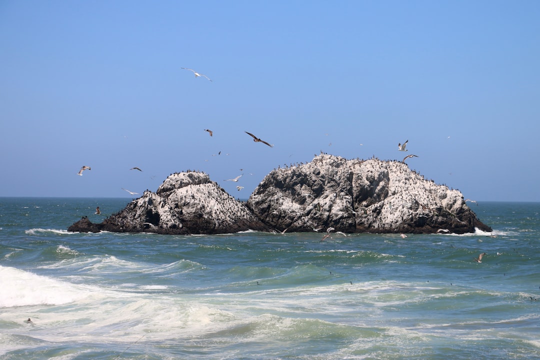 Walnut Grove, CA U.S. Passport Guide: Steps & Facilities