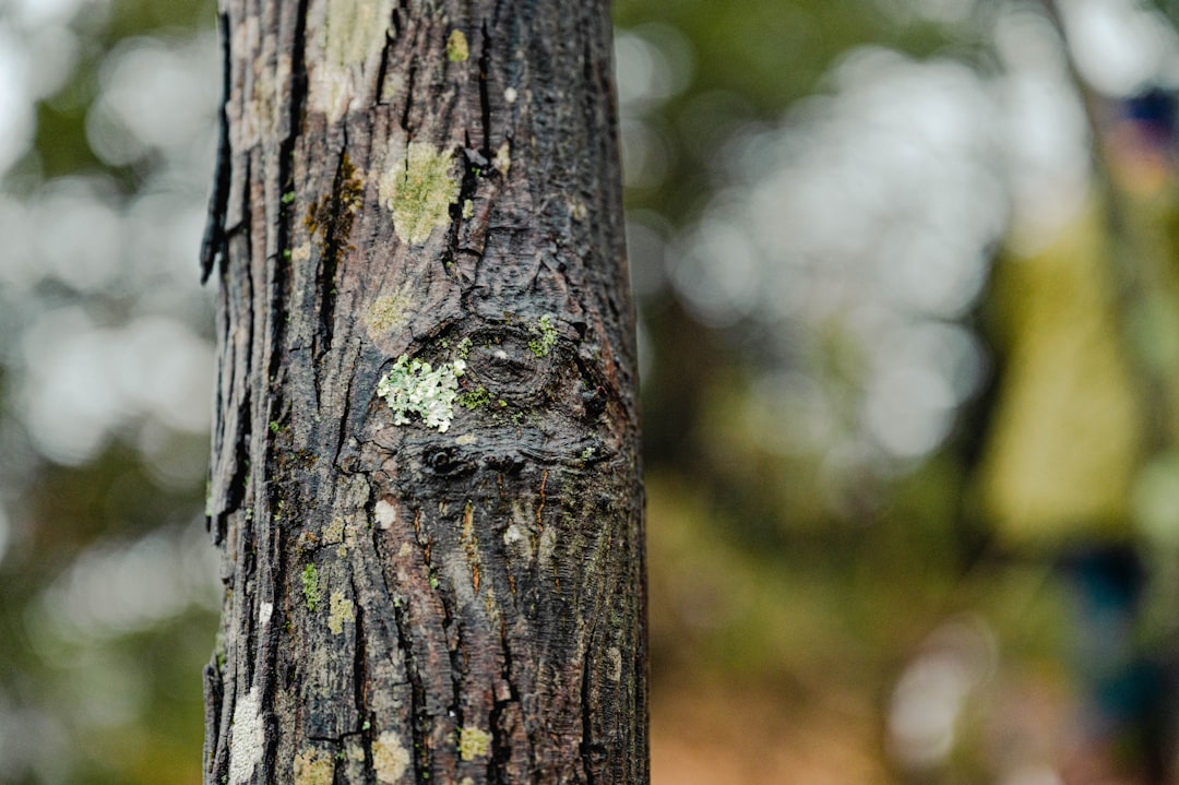 West Haven CT Passport Guide: First-Time, Renewal, Facilities