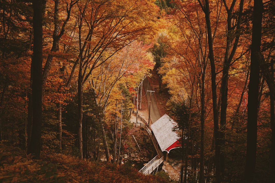 West Stewartstown NH Passport Guide: Apply, Renew, Facilities