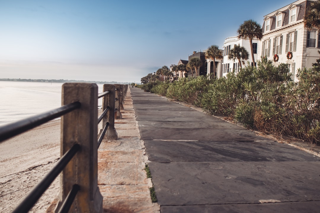 Willington SC Passport Guide: Apply, Renew, Replace Locally