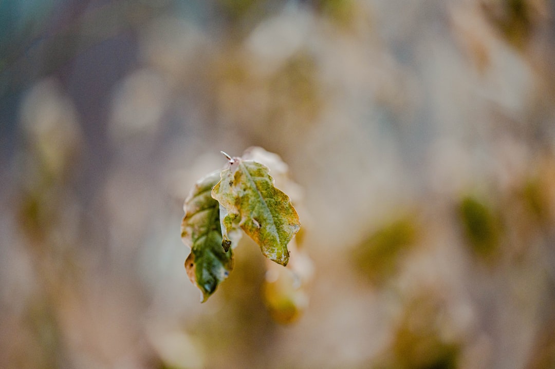 Winsted CT Passport Guide: Steps, Facilities & Local Tips