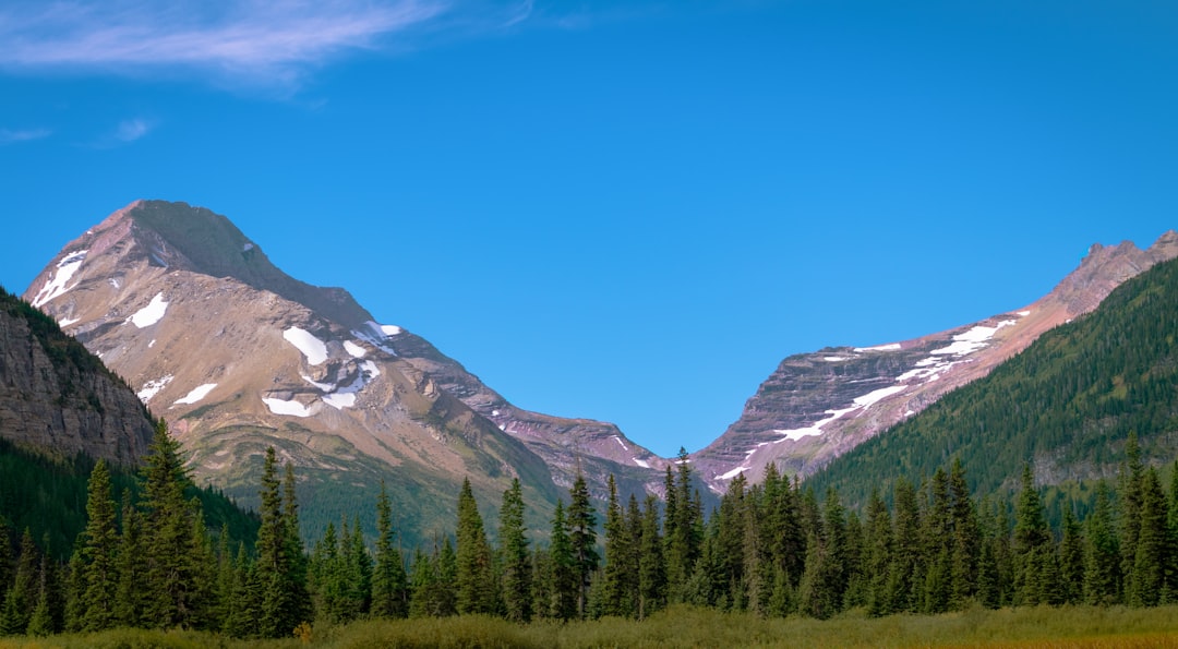 Woods Bay, MT Passport Guide: Apply, Renew, Replace Locally