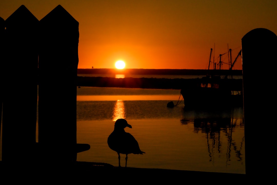 Worcester MA Passport Guide: First-Time, Renewals, Facilities