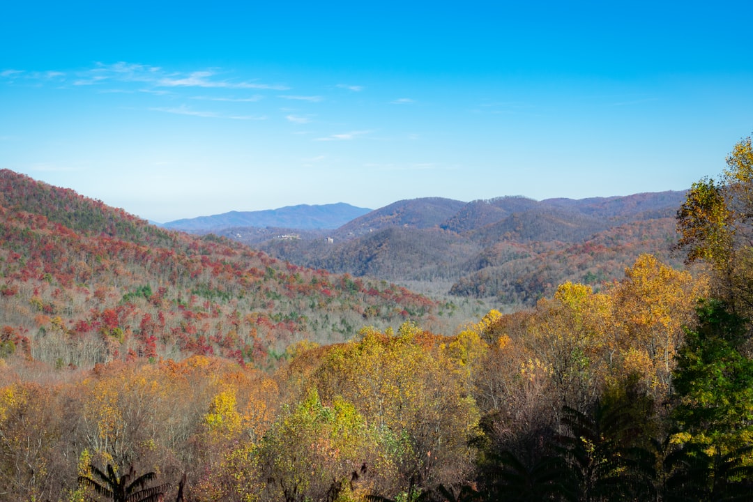 Yorkville TN Passport Guide: First-Time, Renewals, Facilities